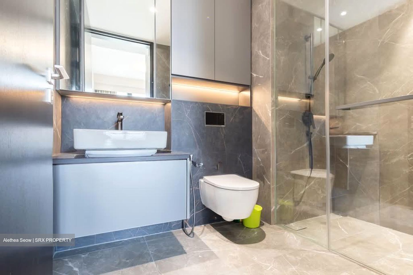 Irwell Hill Residences (D9), Apartment #599455651